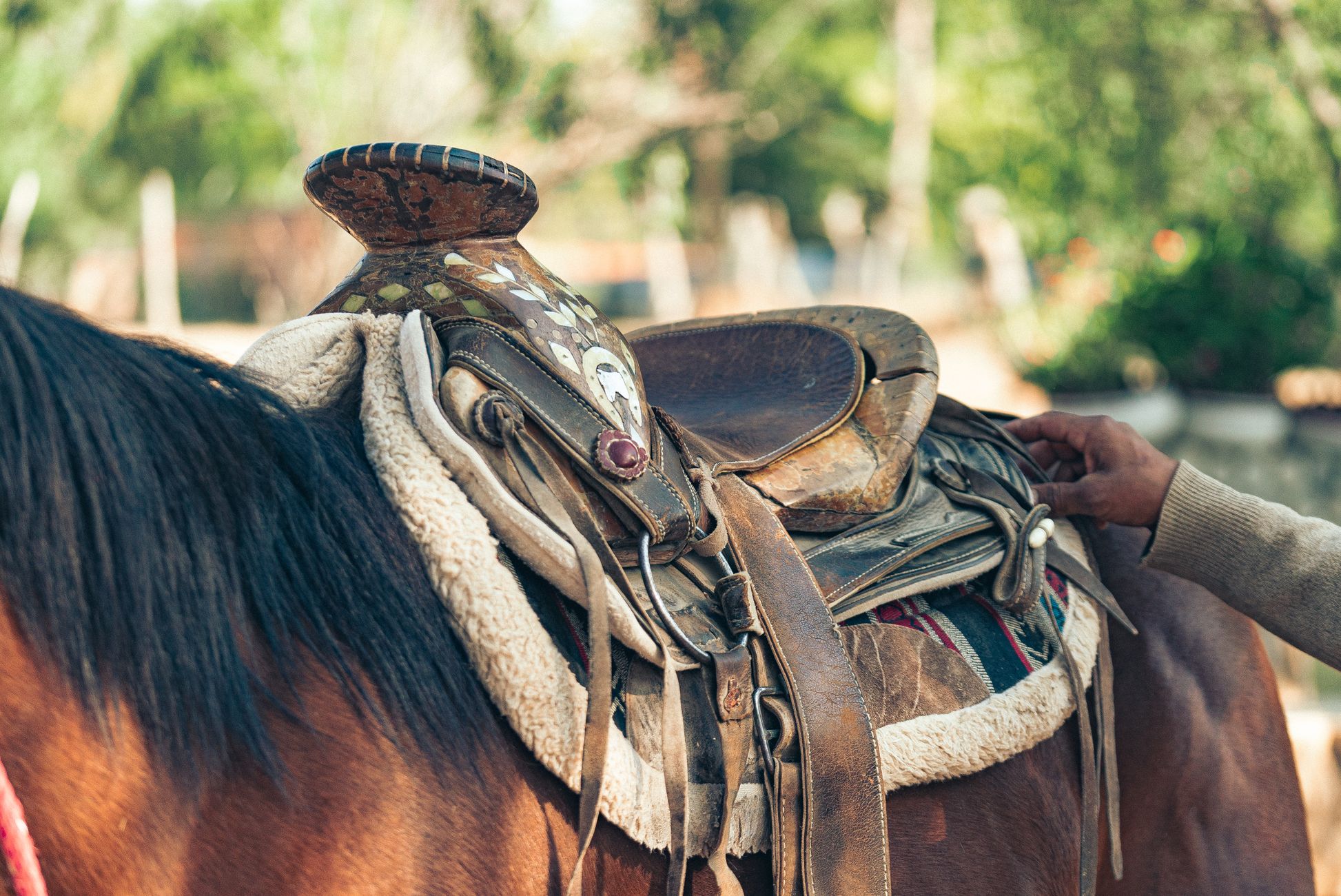 Wade saddle horn detail